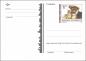 Preview: 2 postcards "100 years of animal welfare"