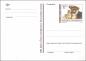 Preview: 2 postcards "100 years of animal welfare"