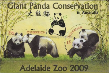 Panda - Adelaine Zoo 2009