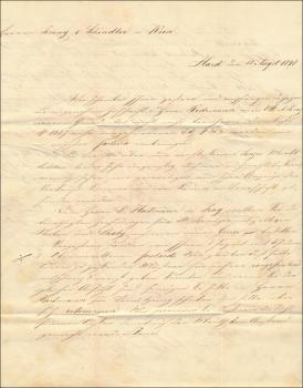 Preview: Österreich 1848 – Vorphila-Faltbrief Hard/Bregenz → Wien – blauer Zweizeiler, Geschäftsinhalt, vollständiges Stück