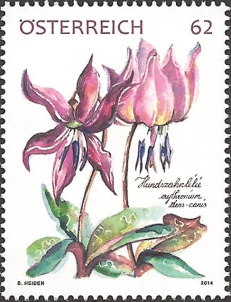 Subscription stamp 2013 "Hundszahnlilie"