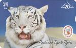 White Tiger - ANK