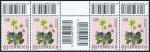 ANK 2660 ZW – Austria 2007 – 125 Cent “Flowers: Mezereon / Liverwort / Cowslip” – lower horizontal gutter pair